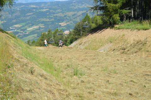 Spreading green hay on the slope, CBNA