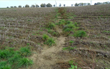 Gully formation due to erosion
