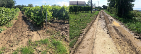 Erosion on agricultural land