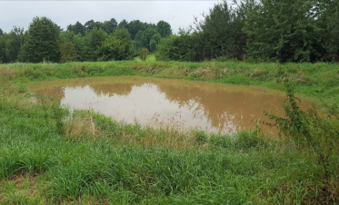 Retention pond