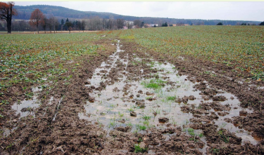 Excess surface water due to defected tile drains