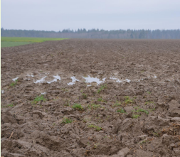 Agricultural land impacted by soil erosion
