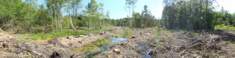 View of the peat bog after restoration, PNR Millevaches en Limousin