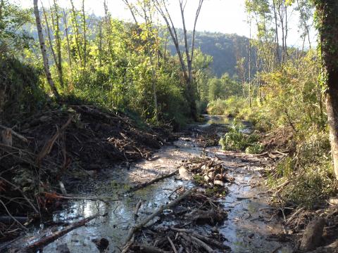 The Eau Morte river, CdC Sources du lac d'Annecy