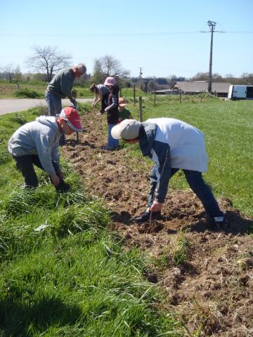 Planting hedgerow in the Léguer basin, BVVL
