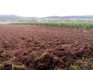 Reduced tillage when possible