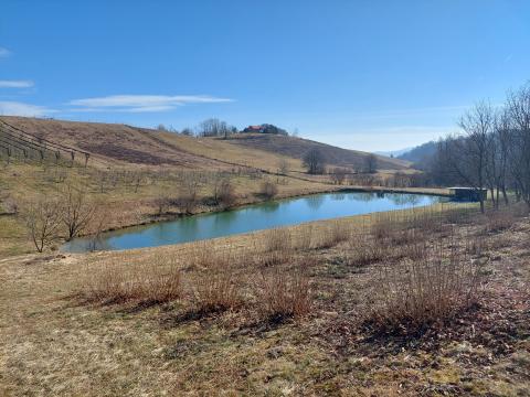 Retention pond in demonstration plantation centre Maribor. Gačnik 17/02/2023 Photo: Gregor Kramberger