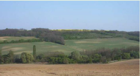 Agricultural land impacted by soil erosion