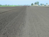Agricultural landscape with little diversity and green cover, increasing risk of soil erosion and nitrate pollution