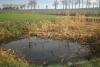 Sedimentation pond Terespolis village, Kėdainiai district 06/11/2020 Photo: Jovita Mėžinė