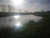 Wetland at Stabė's Terespolis Kėdainiai District 06/11/2020 Photo: Jovita Mėžinė