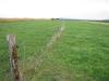 Former drought exposed fields converted to grazing pastures Spodnje Gameljne, Ljubljana, Slovenia 29/09/2016 Photo: Matjaž Glavan