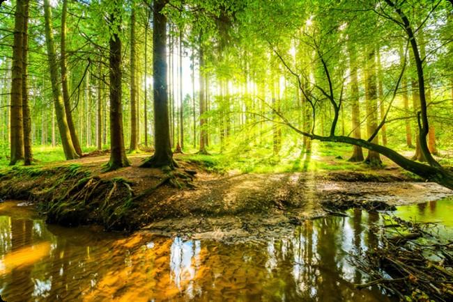 Nature image for AWARD tests